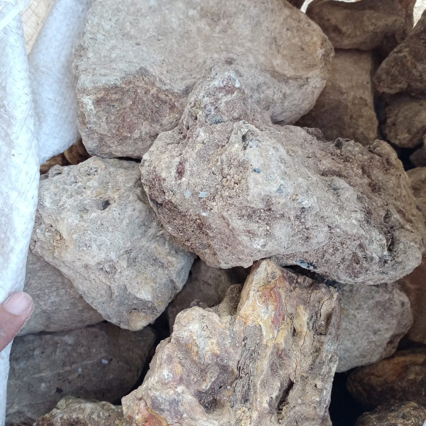 Premium Damar Batu