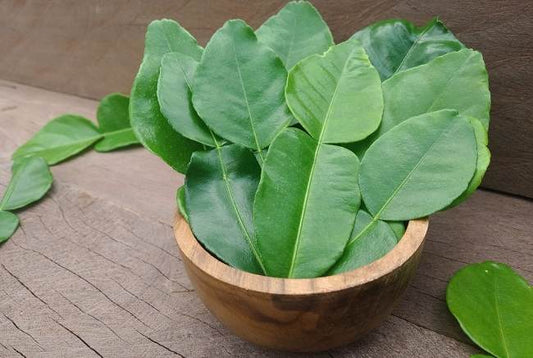 Lime leaves