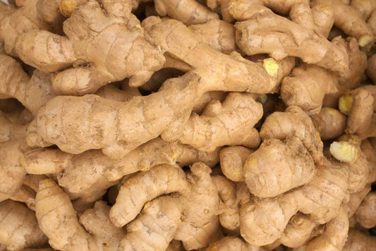 Fresh Ginger High Quality