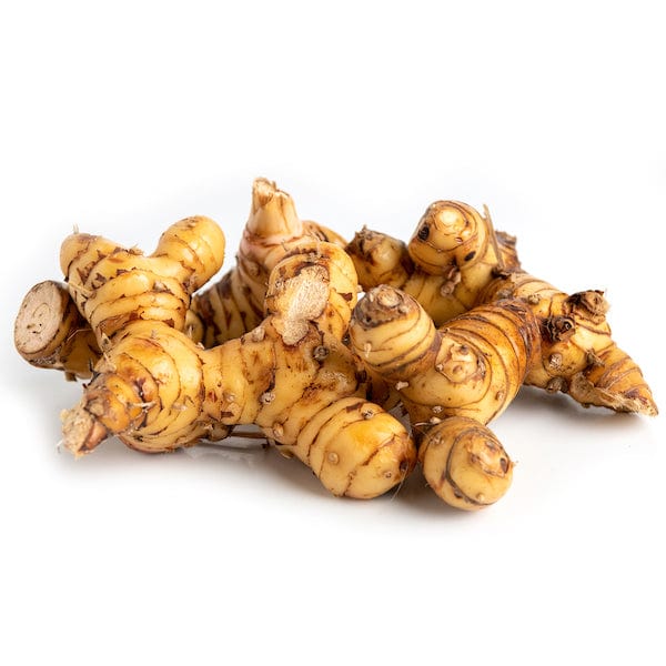 curcuma