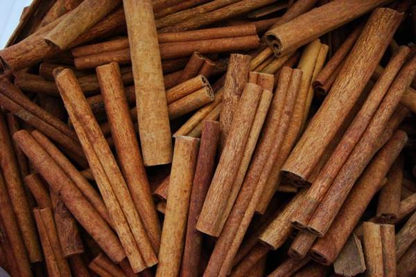 Cinnamon Cutting 8cm