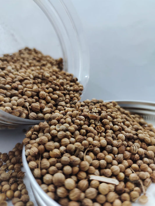 Coriander