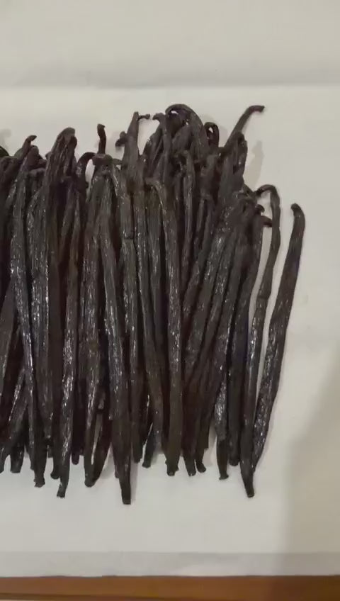VANILLA BEAN PLANIFOLIA