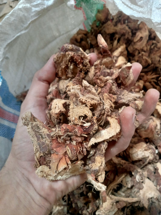 Slice dried galangal