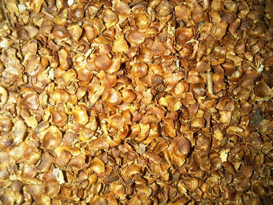 Clove Dust/ Broken flower Head