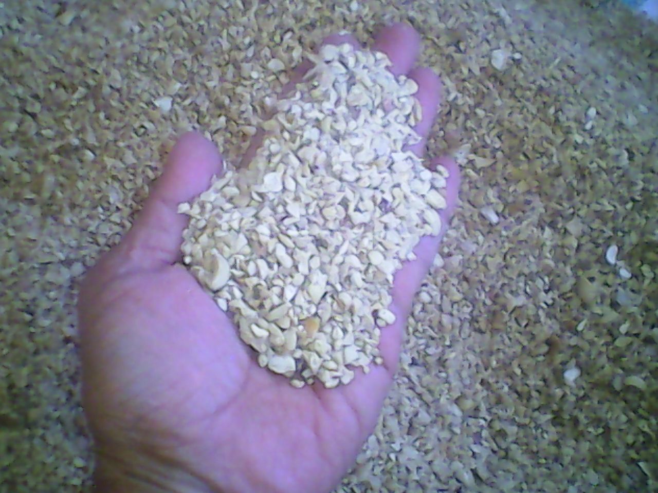 Cashew Nut Split Grade