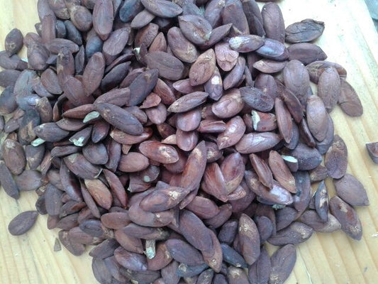 Whole Java Almond