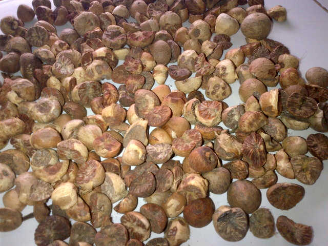 Betel Nut/ Areca Nut Split Betel Nut