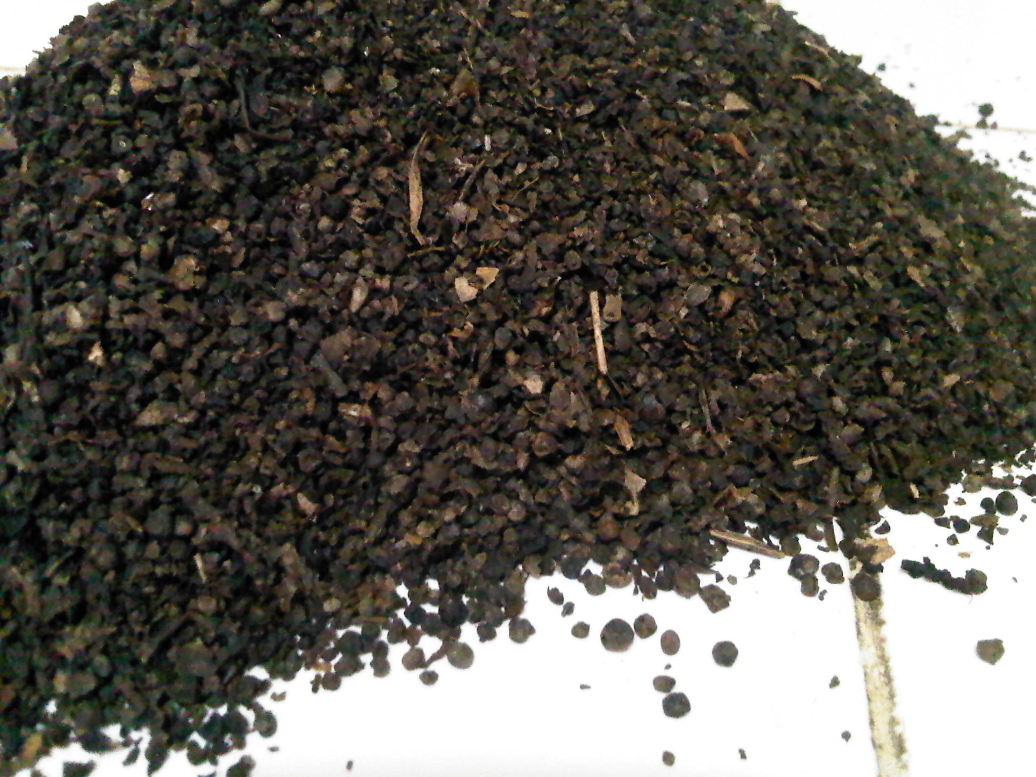 Black Pepper Pinhead – starlaboratories.id