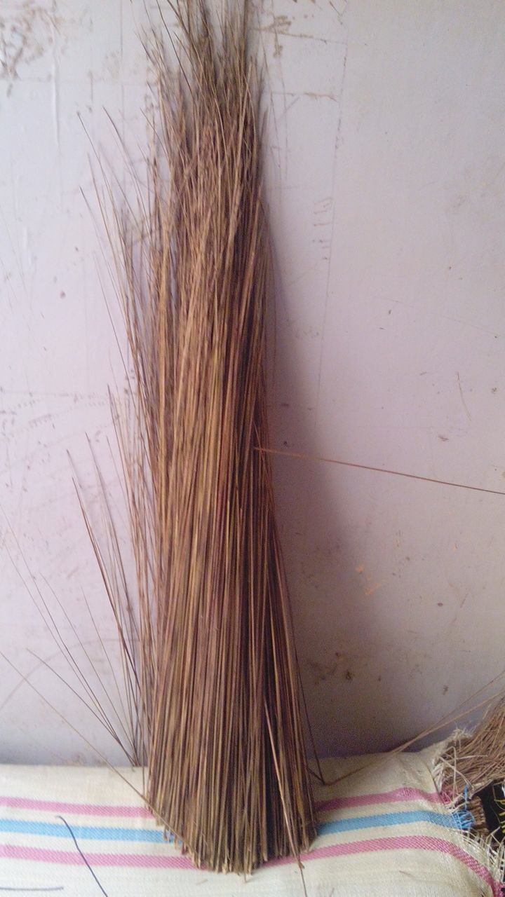 Broom stick
