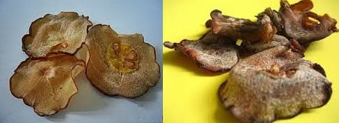 Garnicia Cambogia Thin Slice